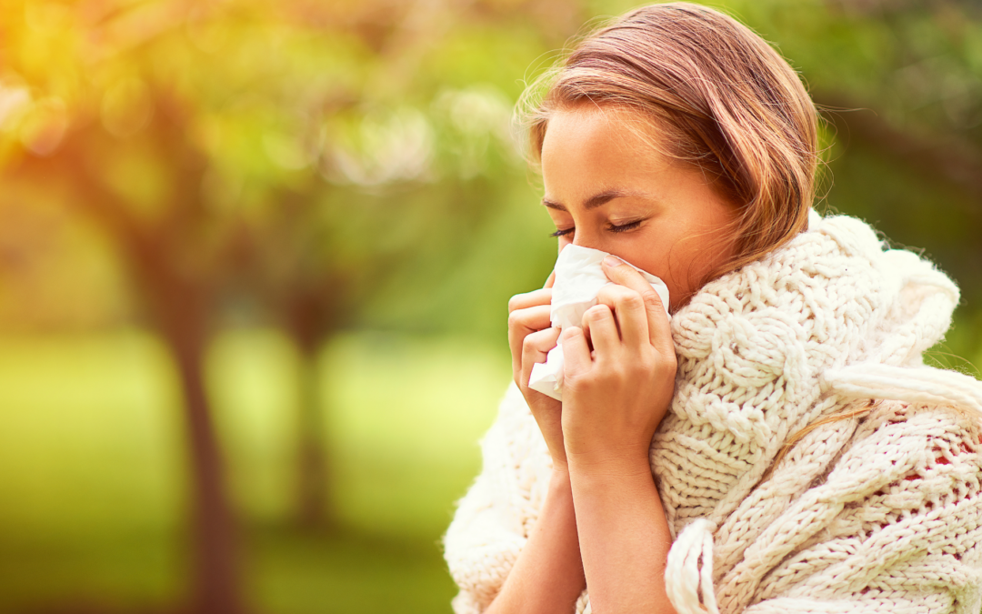Wenn das Immunsystem auf eine Mücke wie auf einen Elefanten reagiert